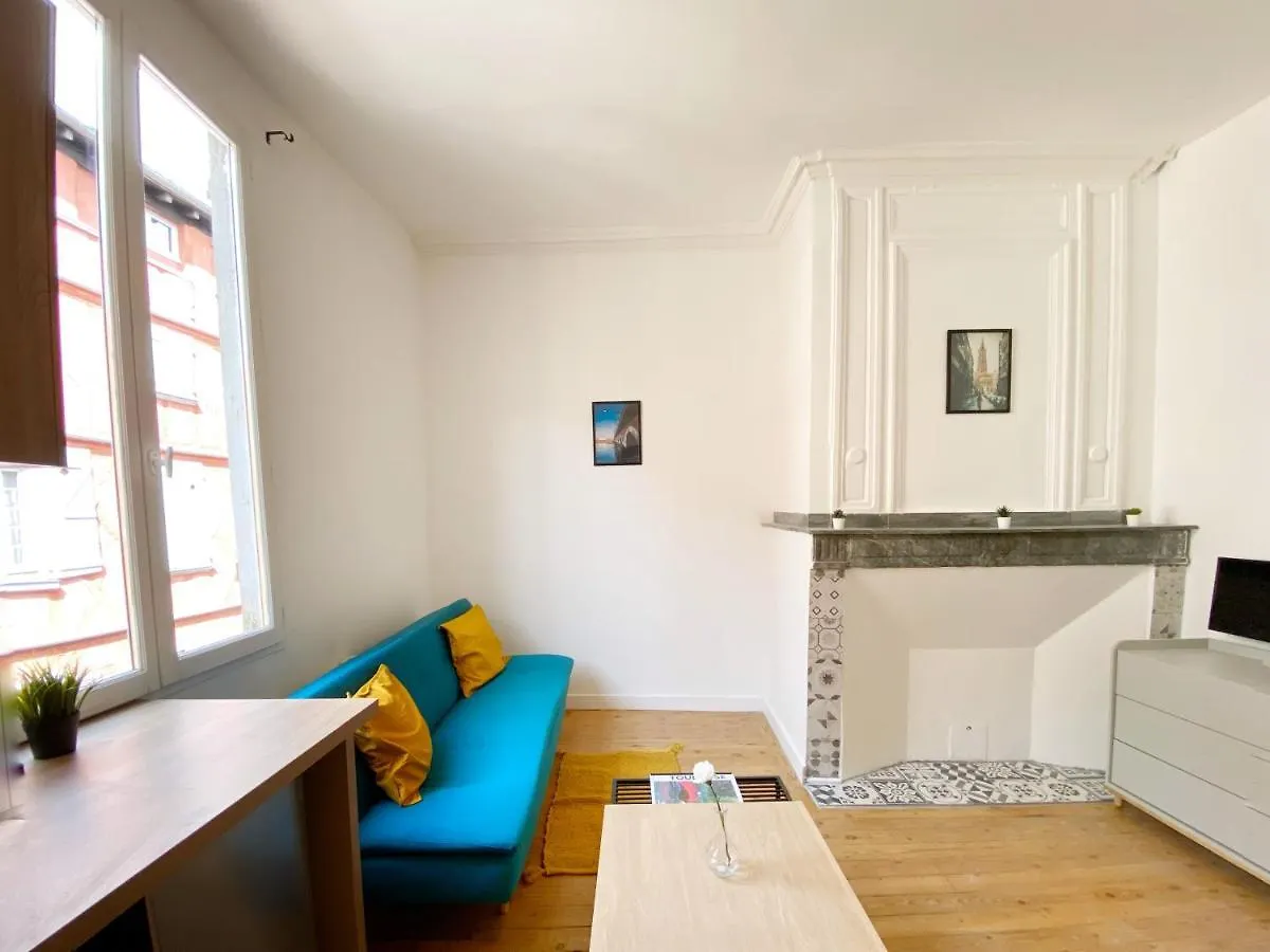 Hypercentre Toulouse 6 Joli Appartement Climatise Et Equipe