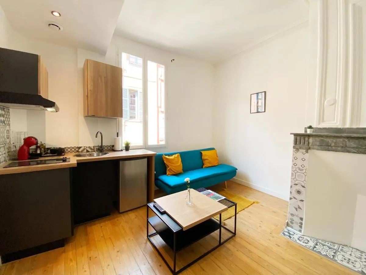 Apartment Hypercentre Toulouse 6 Joli Appartement Climatise Et Equipe